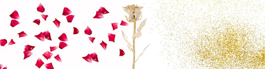 About us: Lady® - Crafting Eternity in Every Bloom