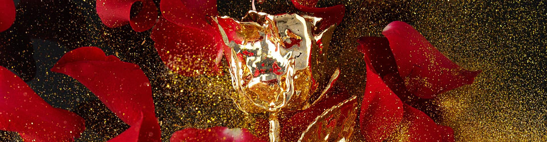 Interview with owner