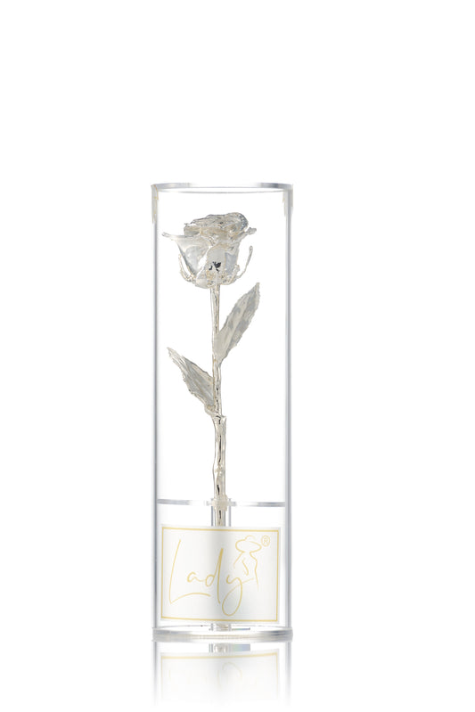 LADY® Princess Silver Rose – Regalo elegante, único y eterno - Rosa bañada en plata 925